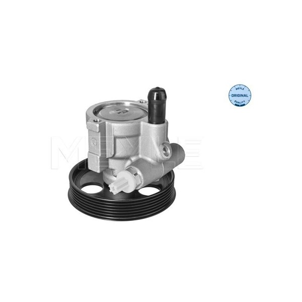 Servopump Meyle 16-14 631 0006 MEYLE