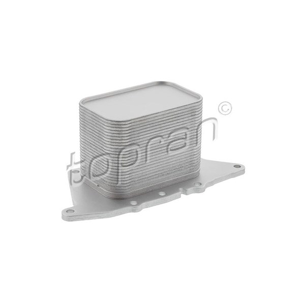 Oljekylare, motor