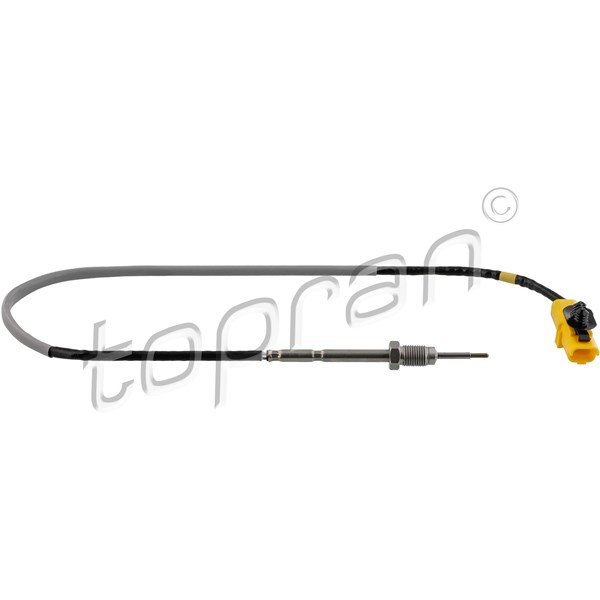 Sensor, avgastemperatur