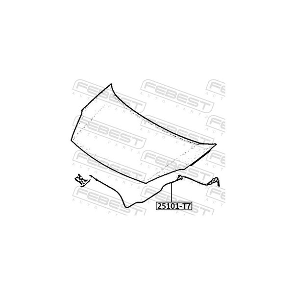 Vajer, motorhuv Febest 25101-T7 FEBEST Vajer, motorhuv Febest 25101-T7 FEBEST