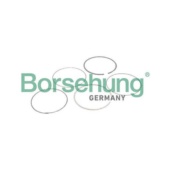 Kolvringar, kit Borsehung B10373 Borsehung