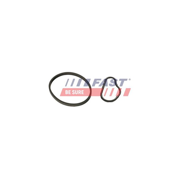 Packning, vakuumpump Fast FT48943 FAST
