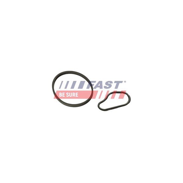 Packning, vakuumpump Fast FT48943 FAST