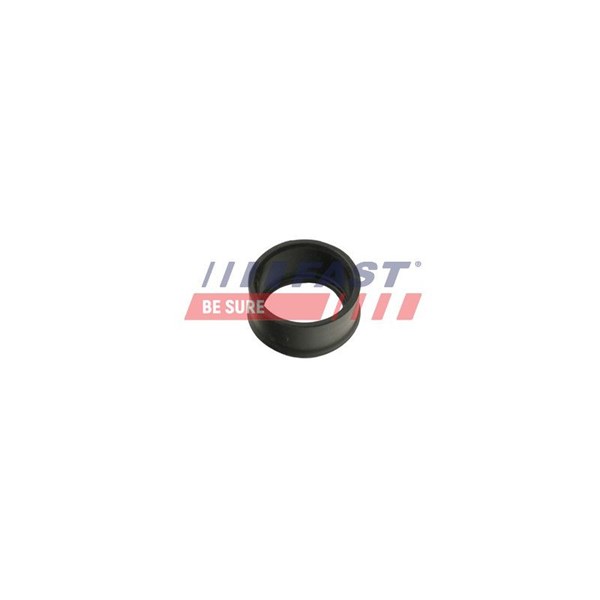 Insug, luftfilter Fast FT48953 FAST