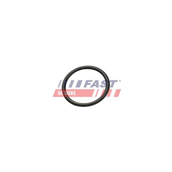 Packning, kylledning Fast FT49927 FAST