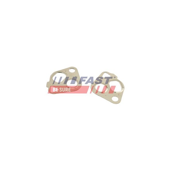 Packningssats, EGR-system Fast FT50607 FAST