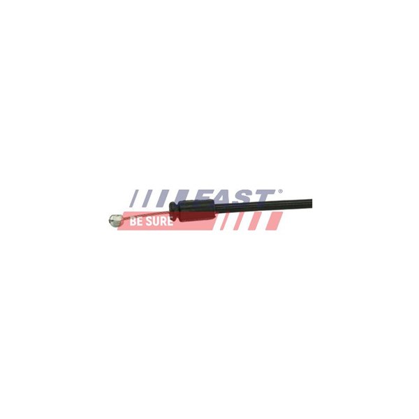 Dörrhandtagskontroll, Bakaxel höger Fast FT73704 FAST