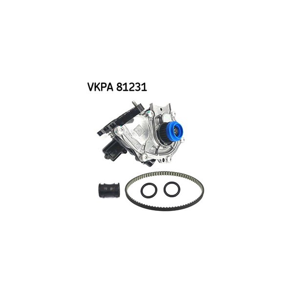 Vattenpump Skf SKF Aquamax VKPA 81231 SKF