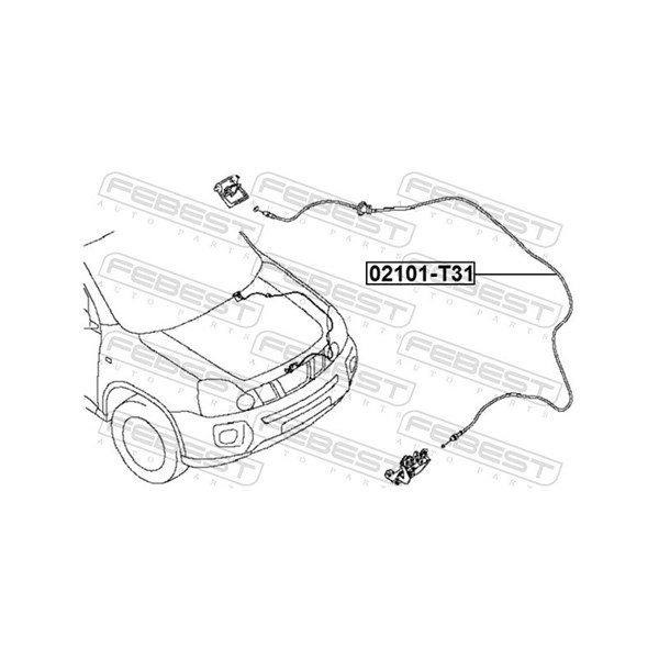 Vajer, motorhuv Febest 02101-T31 FEBEST Vajer, motorhuv Febest 02101-T31 FEBEST