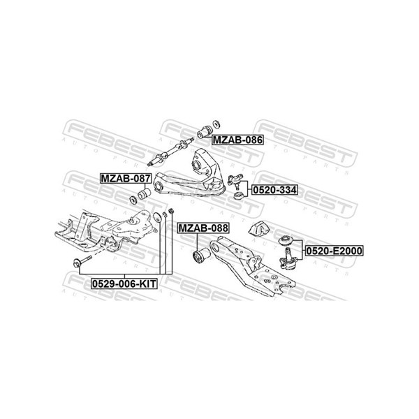 Inställningsskruv, camber Febest 0529-006-KIT FEBEST