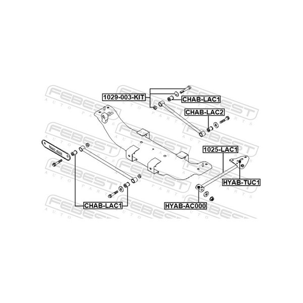 Inställningsskruv, camber, Bak, Nedre Febest 1029-003-KIT FEBEST