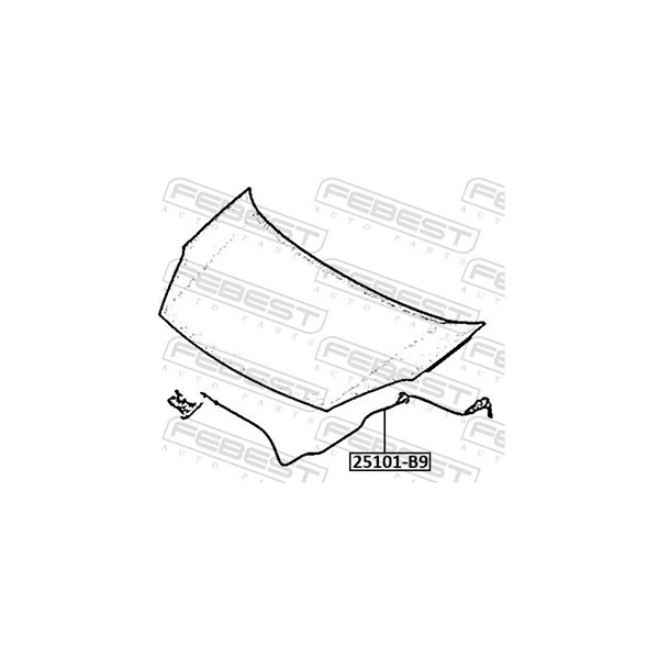 Vajer, motorhuv Febest 25101-B9 FEBEST Vajer, motorhuv Febest 25101-B9 FEBEST