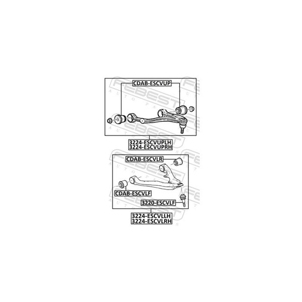 Kulled / Spindelled, Nedre framaxel Febest 3220-ESCVLF FEBEST Kulled / Spindelled, Nedre framaxel Febest 3220-ESCVLF FEBEST