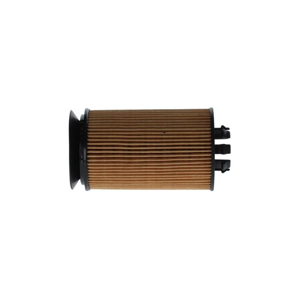 Oljefilter Bosch F 026 407 310 BOSCH