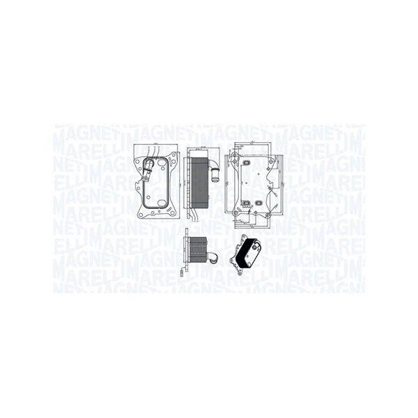 Oljekylare, motor Magneti marelli 350300006300 MAGNETI MARELLI