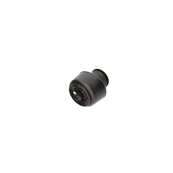 Luftfjäder, hjulupphängning, Bakaxel Kavo parts SAS-10001 KAVO PARTS