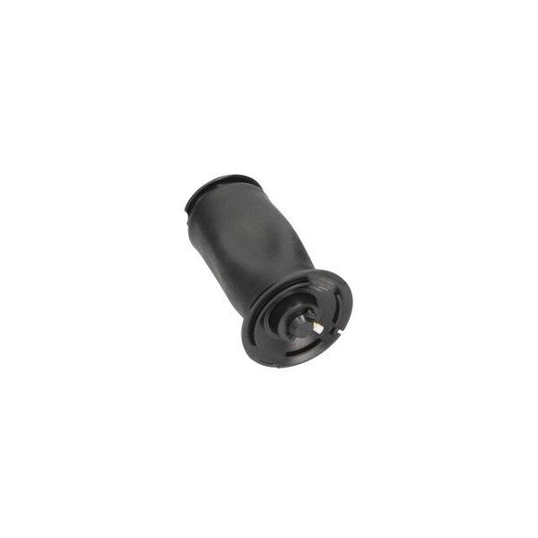 Luftfjäder, hjulupphängning, Bakaxel Kavo parts SAS-10005 KAVO PARTS