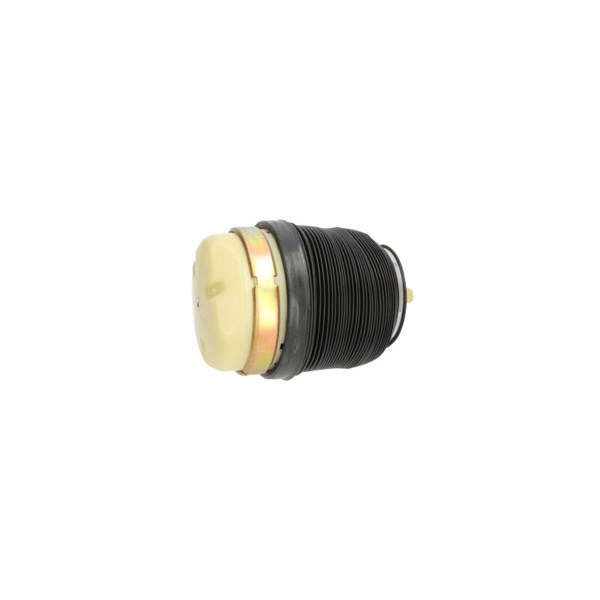Luftfjäder, hjulupphängning, Bakaxel Kavo parts SAS-10009 KAVO PARTS