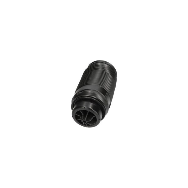 Luftfjäder, hjulupphängning, Bakaxel vänster Kavo parts SAS-10014 KAVO PARTS