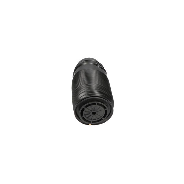 Luftfjäder, hjulupphängning, Bakaxel vänster Kavo parts SAS-10014 KAVO PARTS