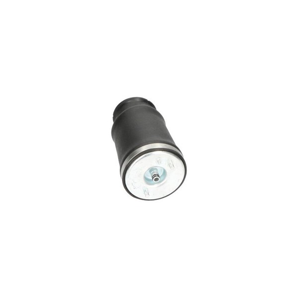 Luftfjäder, hjulupphängning, Bakaxel vänster Kavo parts SAS-10017 KAVO PARTS