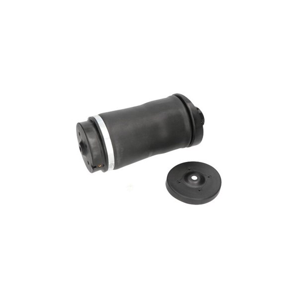 Luftfjäder, hjulupphängning, Bakaxel Kavo parts SAS-10018 KAVO PARTS
