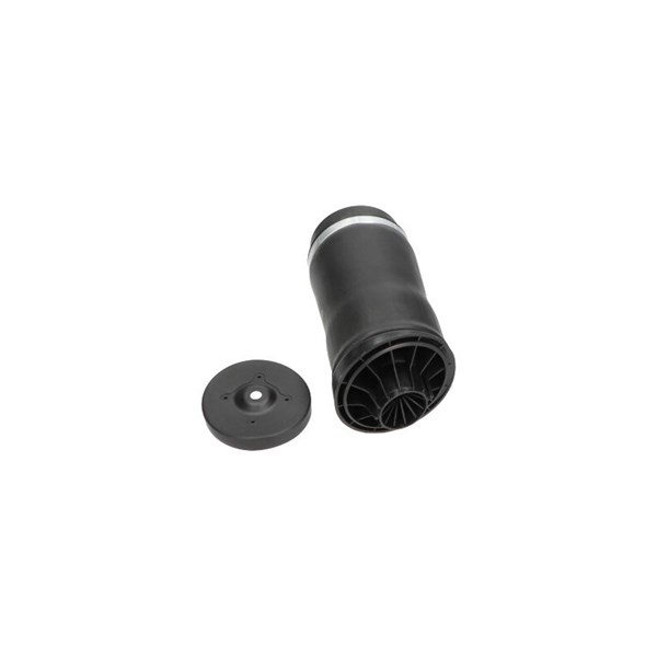 Luftfjäder, hjulupphängning, Bakaxel Kavo parts SAS-10018 KAVO PARTS