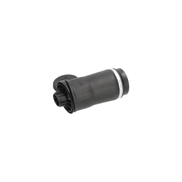 Luftfjäder, hjulupphängning, Bakaxel Kavo parts SAS-10018 KAVO PARTS
