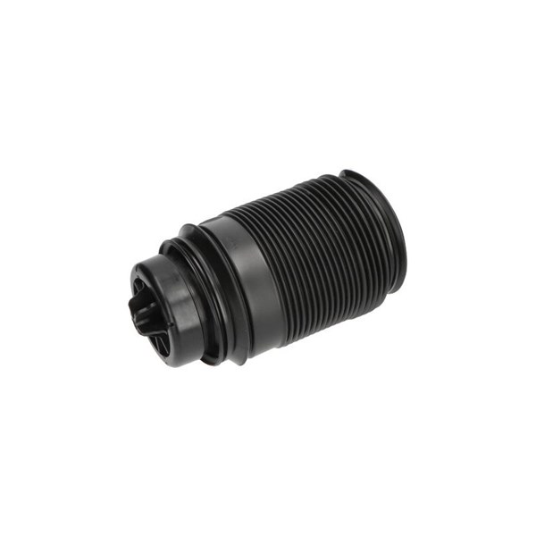 Luftfjäder, hjulupphängning, Bakaxel höger Kavo parts SAS-10019 KAVO PARTS