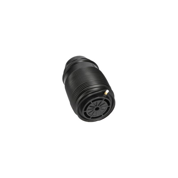 Luftfjäder, hjulupphängning, Bakaxel höger Kavo parts SAS-10019 KAVO PARTS
