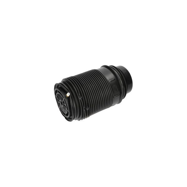 Luftfjäder, hjulupphängning, Bakaxel höger Kavo parts SAS-10019 KAVO PARTS
