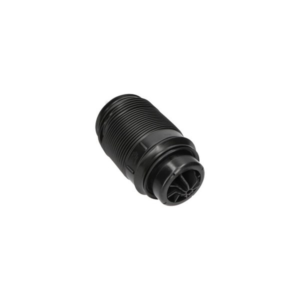 Luftfjäder, hjulupphängning, Bakaxel höger Kavo parts SAS-10019 KAVO PARTS