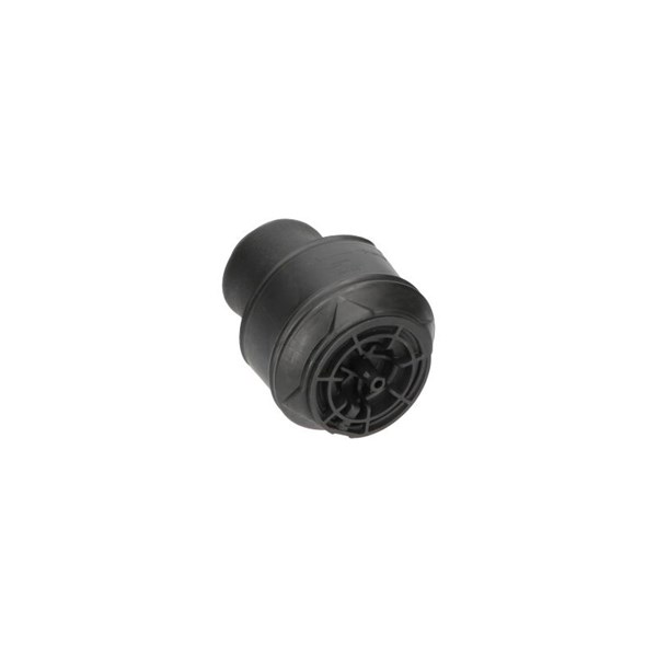 Luftfjäder, hjulupphängning, Bakaxel Kavo parts SAS-10024 KAVO PARTS
