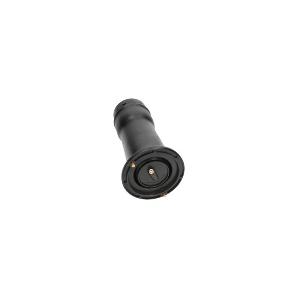 Luftfjäder, hjulupphängning, Bakaxel Kavo parts SAS-10025 KAVO PARTS