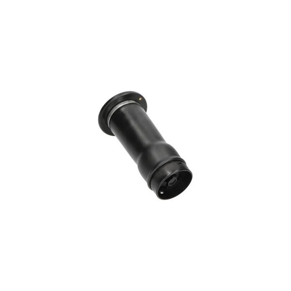 Luftfjäder, hjulupphängning, Bakaxel Kavo parts SAS-10025 KAVO PARTS