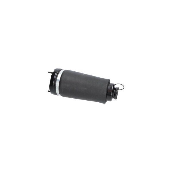 Luftfjäder, hjulupphängning, Framaxel Kavo parts SAS-10031 KAVO PARTS