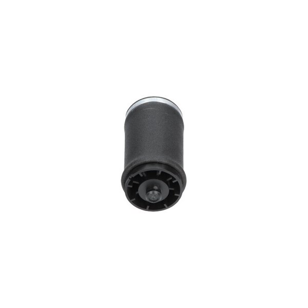 Luftfjäder, hjulupphängning, Bakaxel höger Kavo parts SAS-10034 KAVO PARTS