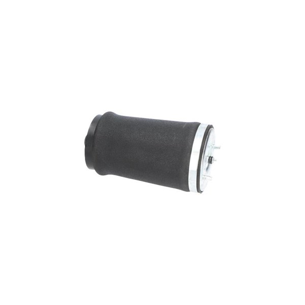 Luftfjäder, hjulupphängning, Bakaxel höger Kavo parts SAS-10034 KAVO PARTS