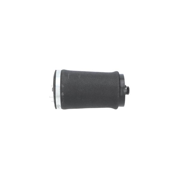 Luftfjäder, hjulupphängning, Bakaxel höger Kavo parts SAS-10034 KAVO PARTS