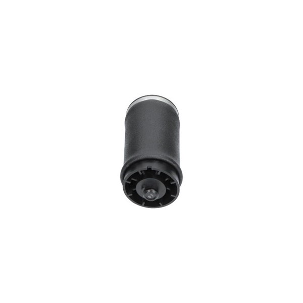 Luftfjäder, hjulupphängning, Bakaxel vänster Kavo parts SAS-10035 KAVO PARTS