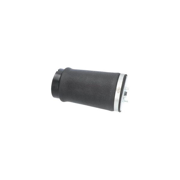 Luftfjäder, hjulupphängning, Bakaxel vänster Kavo parts SAS-10035 KAVO PARTS