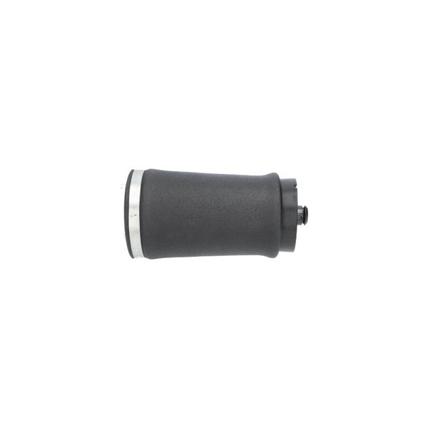 Luftfjäder, hjulupphängning, Bakaxel vänster Kavo parts SAS-10035 KAVO PARTS