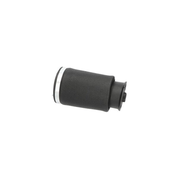 Luftfjäder, hjulupphängning, Bakaxel höger Kavo parts SAS-10036 KAVO PARTS