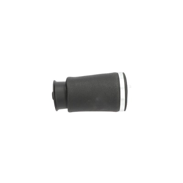 Luftfjäder, hjulupphängning, Bakaxel höger Kavo parts SAS-10036 KAVO PARTS