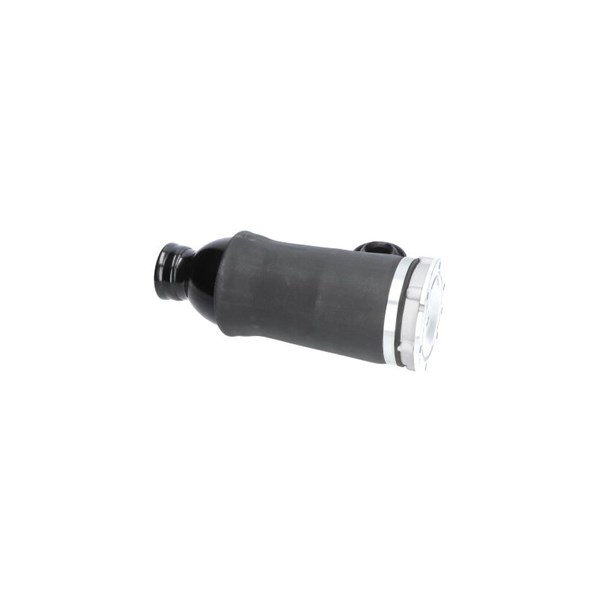 Luftfjäder, hjulupphängning, Framaxel Kavo parts SAS-10045 KAVO PARTS