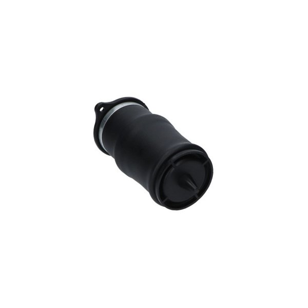 Luftfjäder, hjulupphängning, Bakaxel Kavo parts SAS-10053 KAVO PARTS