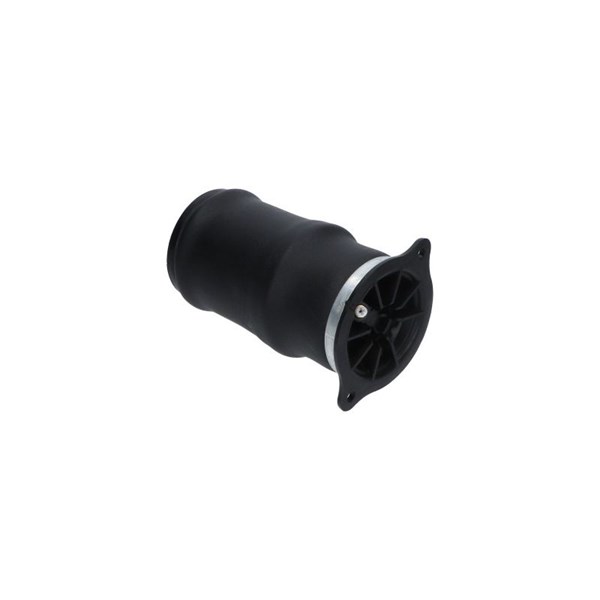 Luftfjäder, hjulupphängning, Bakaxel Kavo parts SAS-10053 KAVO PARTS