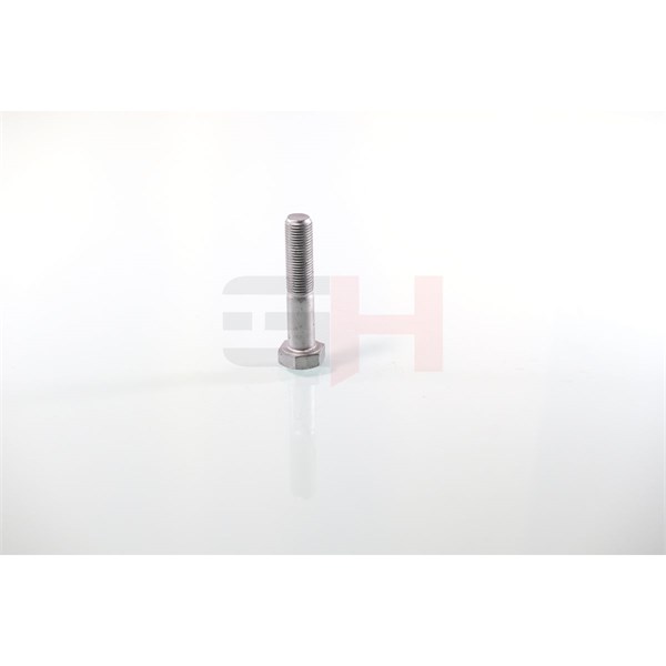 Skruv, axeltapp Gh GH-392360 GH
