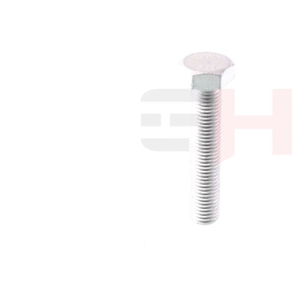 Skruv, axeltapp Gh GH-392506 GH