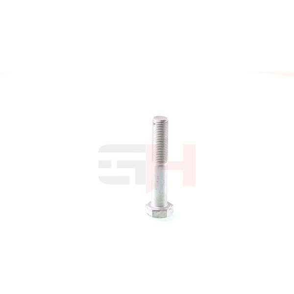 Skruv / Bult Gh GH-393355 GH Skruv / Bult Gh GH-393355 GH